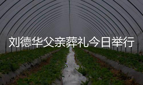 握行 程双刘德礼今刘德日举身全手紧华父华现亲葬