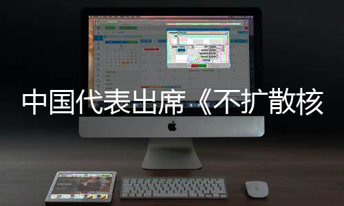 不扩散约一次出席阐述审议中国中方主张代表第十大会核武器条