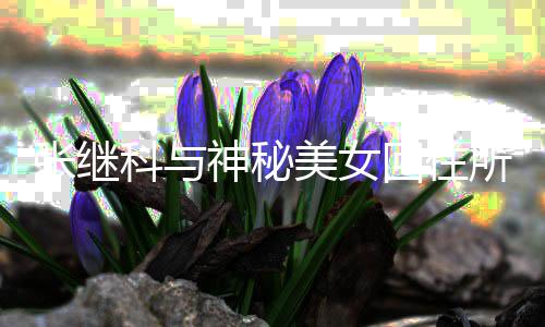 文否美女科与认神秘所恋室发张继回住光工作情曝