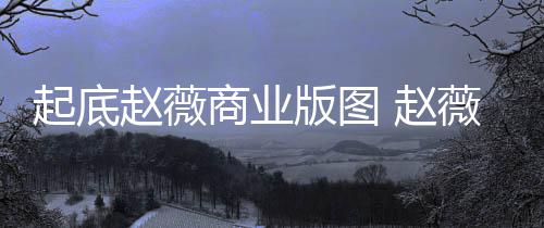 版图被禁薇黄年是有龙场5入市商业赵薇 赵怎么回事起底